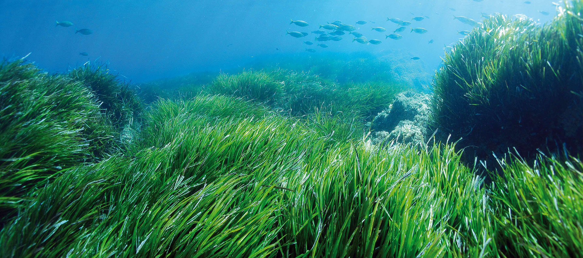 江苏磊霆精密新材料有限公司