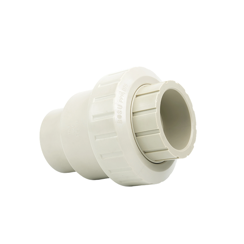 β--PPH单由令止回阀